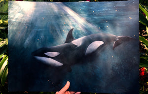 Orca Print