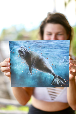 Open image in slideshow, Hawaiian Monk Seal Print
