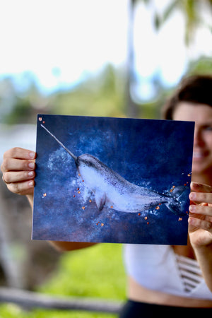 Open image in slideshow, Narwhal Print
