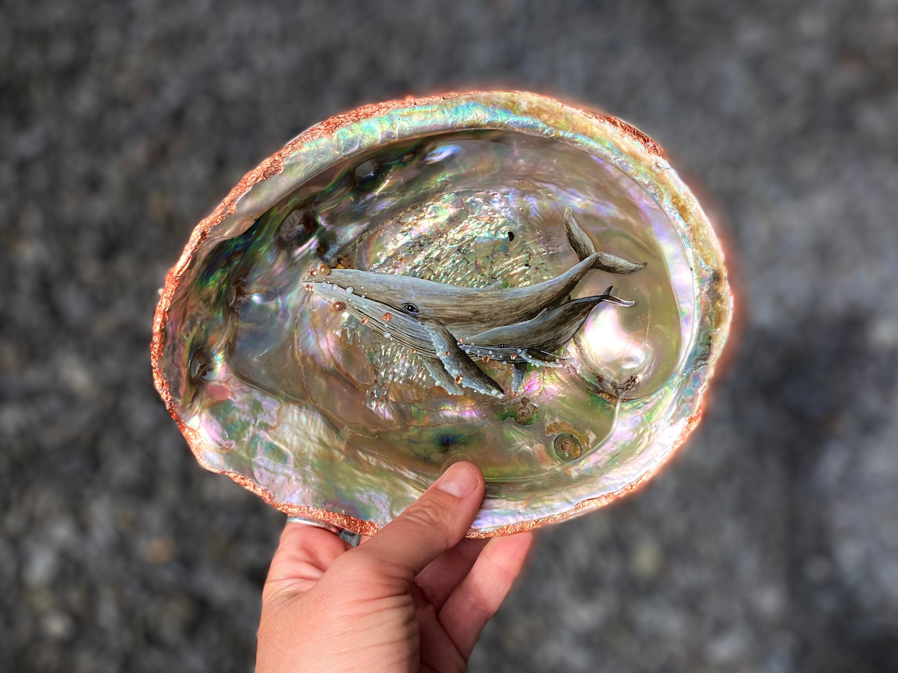 Whales Abalone