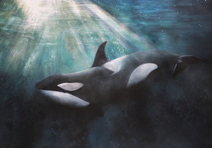 Orca Print