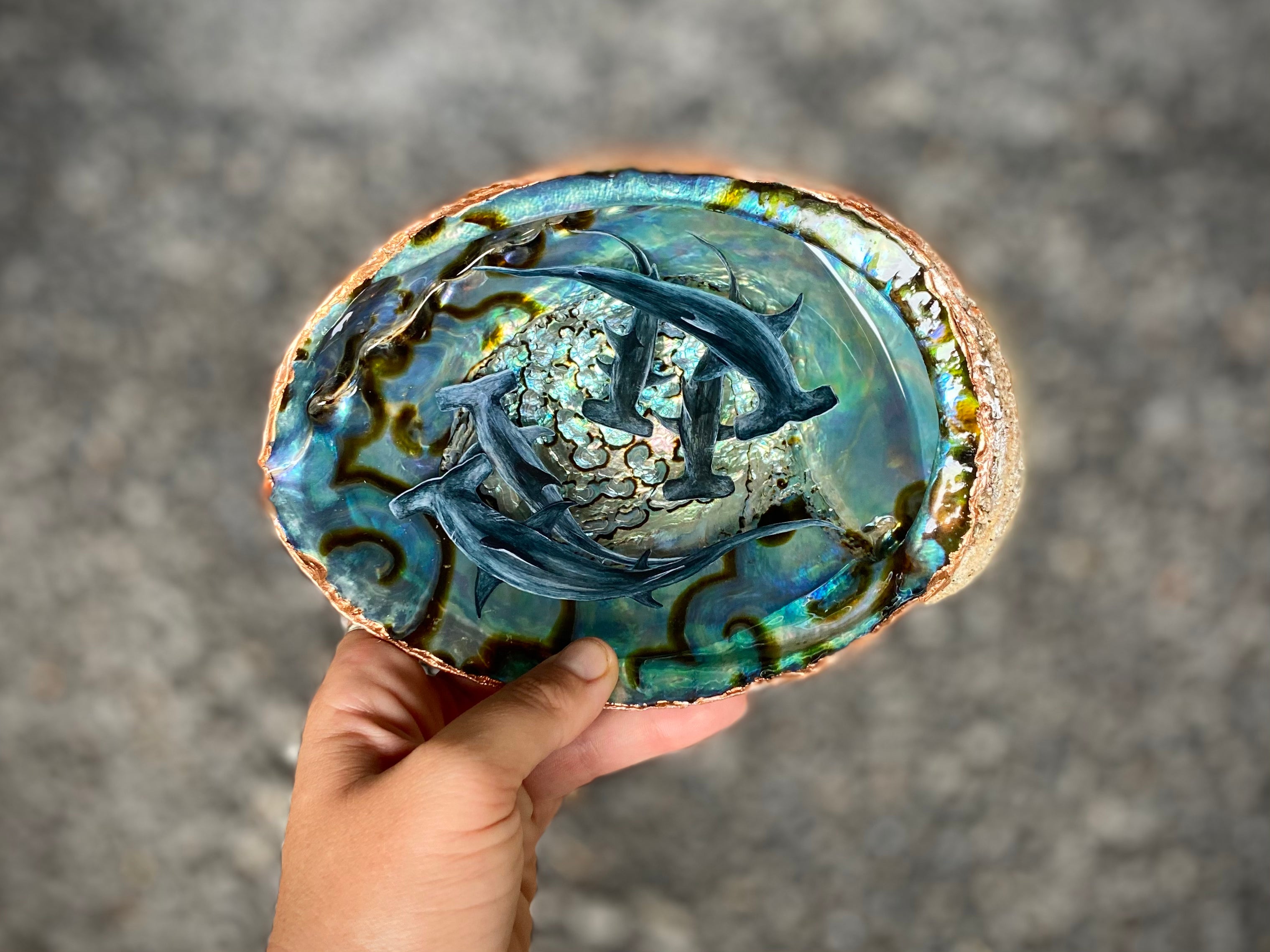 Hammerheads in Blue Abalone