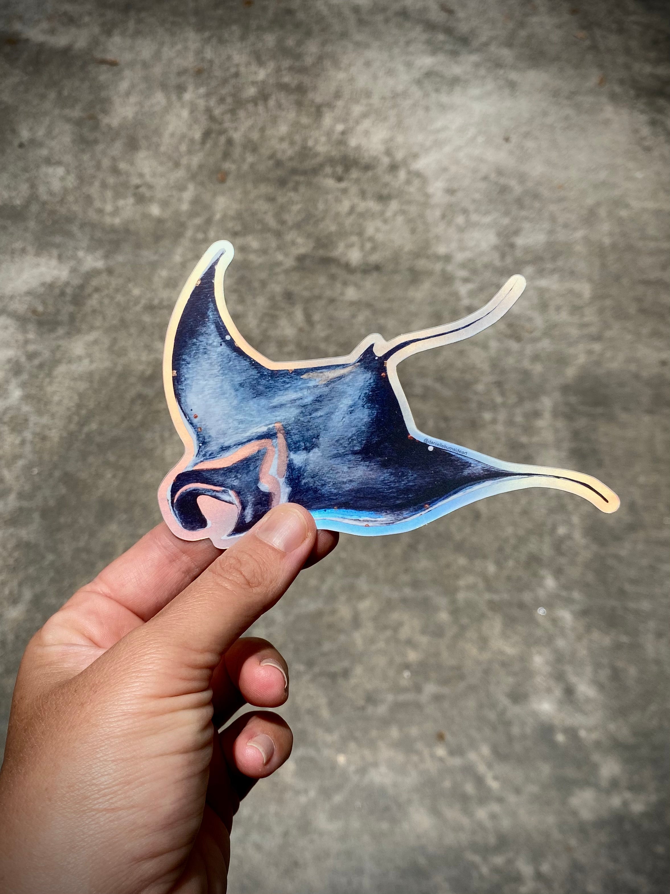 Manta Rays Image For Sticker Manta Ray Sticker – danielleburnside