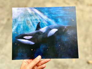 Open image in slideshow, Orca Print
