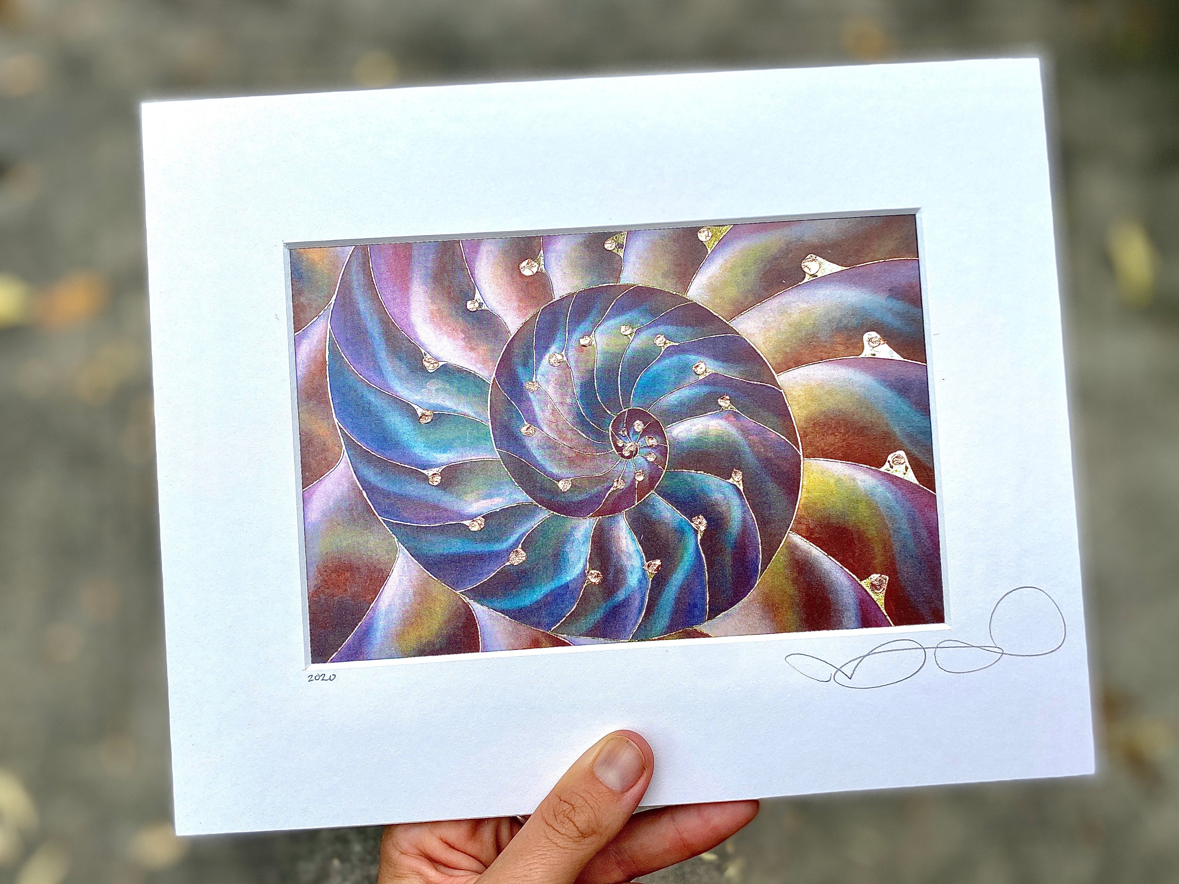 Nautilus Shell Print - Rainbow Hue