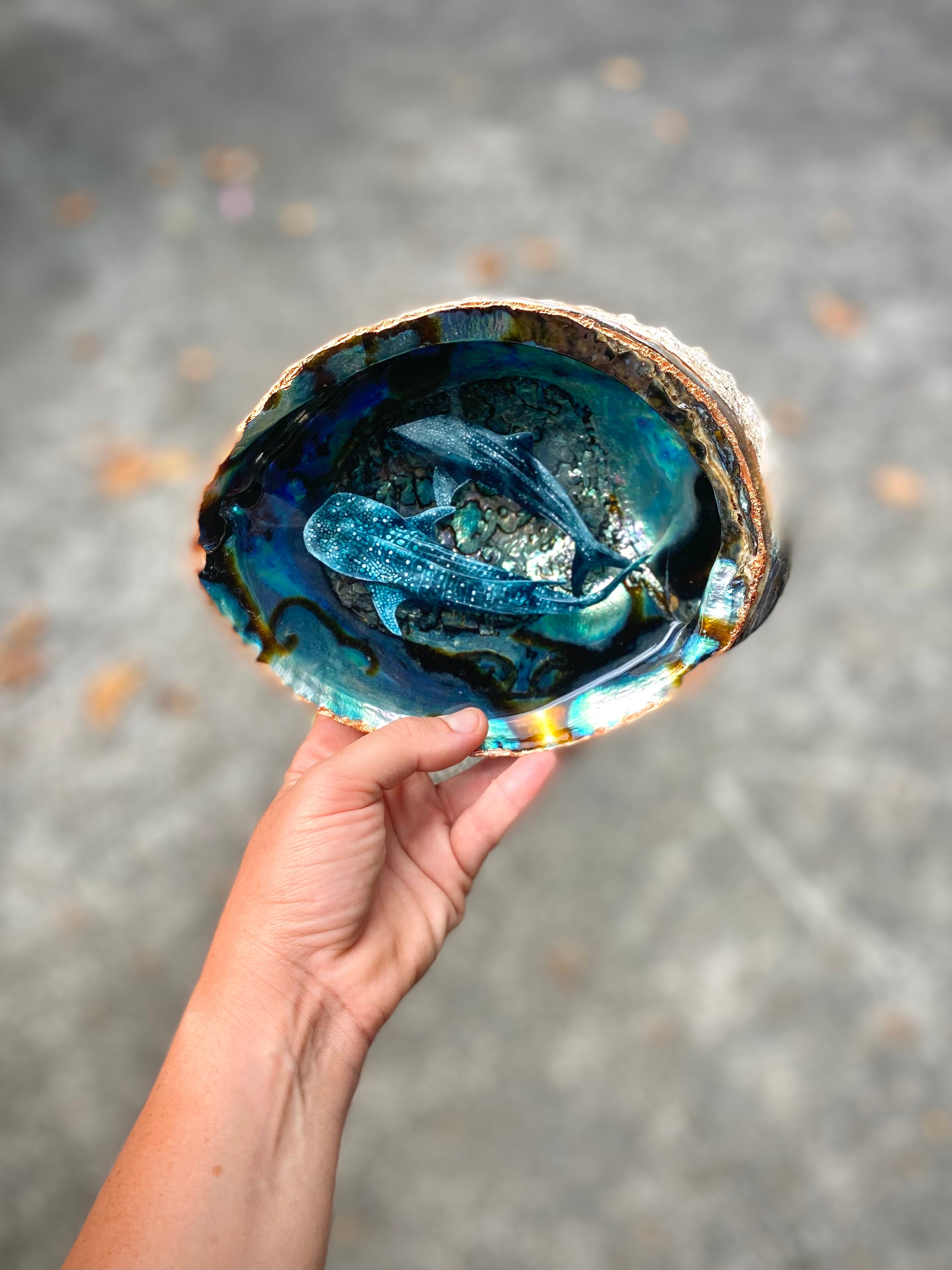 Shell Sanle Whalesharks Shell – danielleburnside
