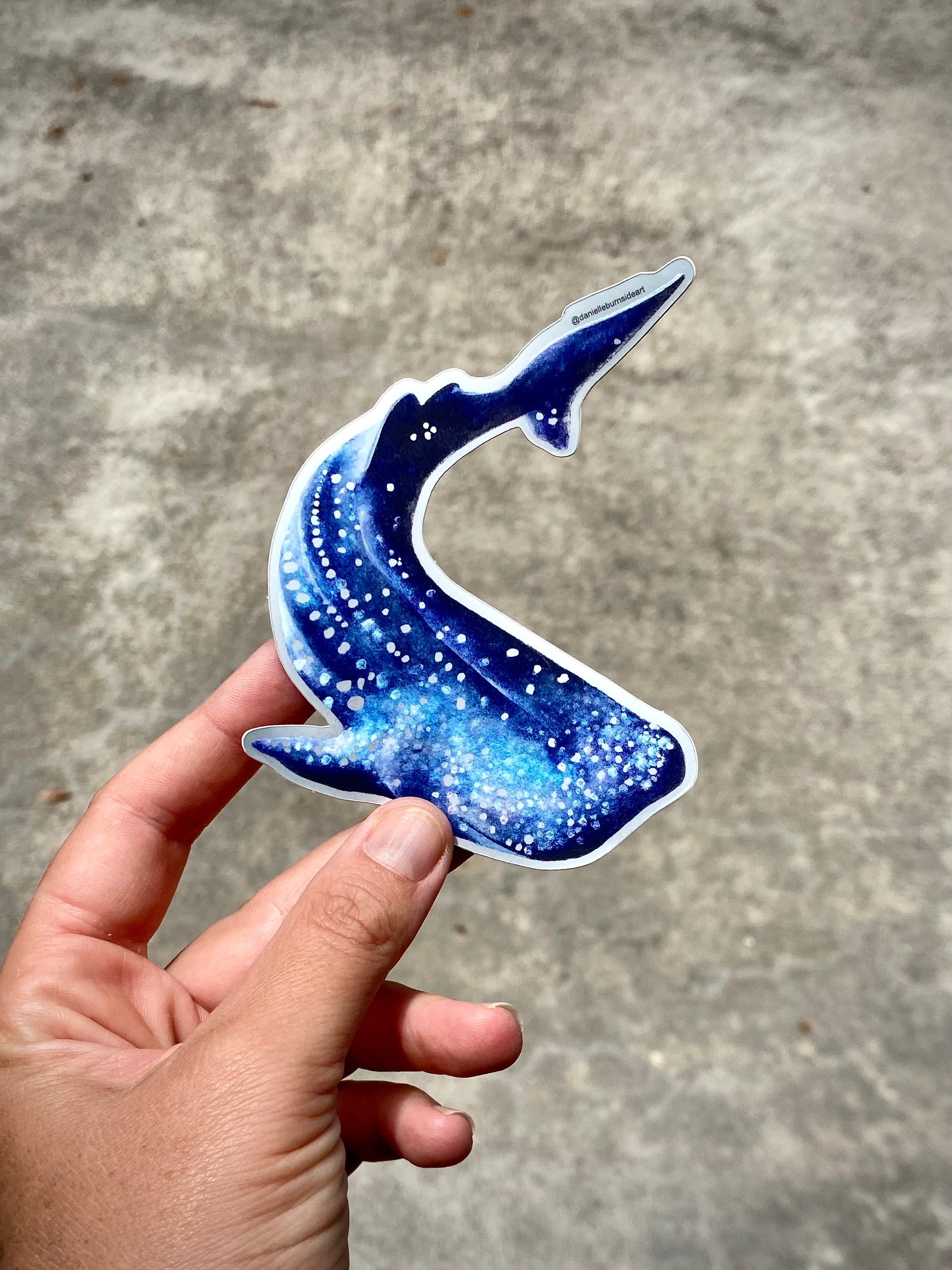Whaleshark Sticker
